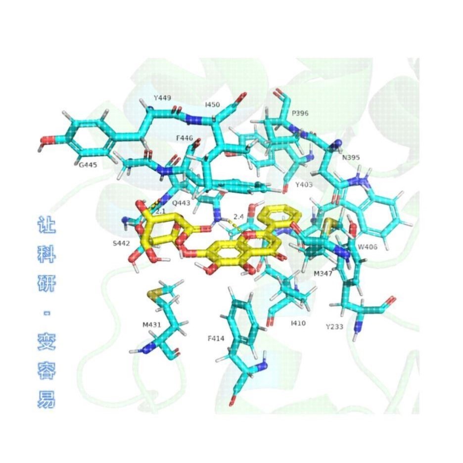第一性原理代算VASP分子动力学MS计算量子化学有限元密度泛函DFT