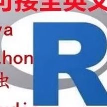 rstudio代做R语言辅导 python代码编写 r shiny可视化java编程sas