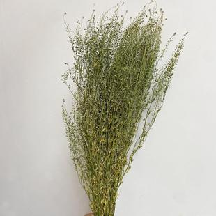 花瓶 工艺 礼品 配花 花束 干花绿灵草 干花迷你翠扇