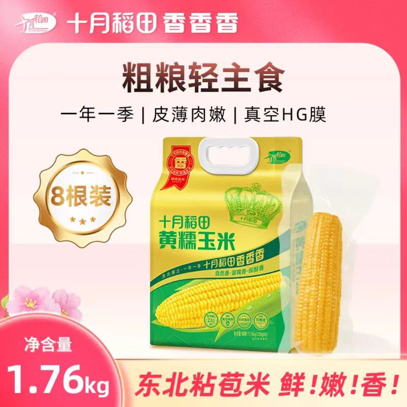 十月稻田黄糯玉米白糯玉米香甜糯东北粘苞米可拉丝真空