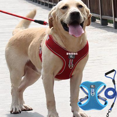 大狗胸背带透气防爆冲背心式可调节牵引绳中型犬大型犬金毛萨摩耶