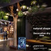 天然去皮大树诧寂风纯实木树干圆柱装 饰客厅民宿造型造景隔断摆件