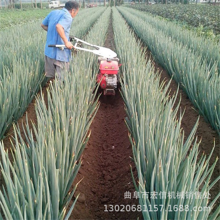 宁夏 大葱大姜开沟培土机 360度旋转式田园管理机 果园施肥封沟机