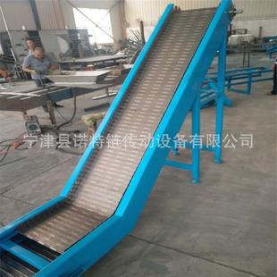 線帶輸皮帶送 輸送機食品菌網不銹鋼網鏈提升帶寬600機干果包殺裝