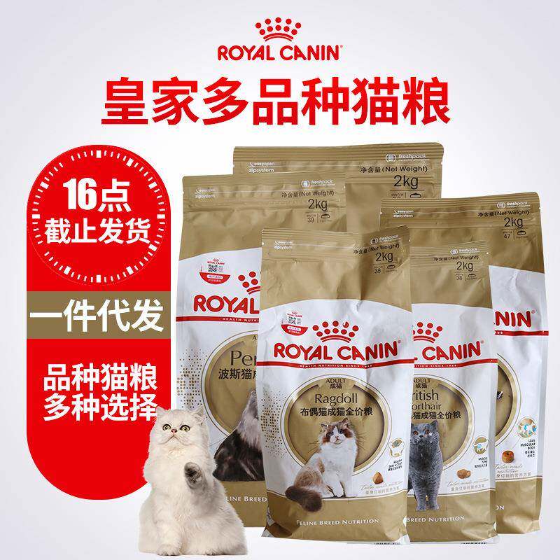 皇/家美国短毛英国波斯猫布偶成猫粮品英短美短种猫粮2kg/10kg