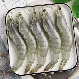 海捕大虾 维也娜老赵专享