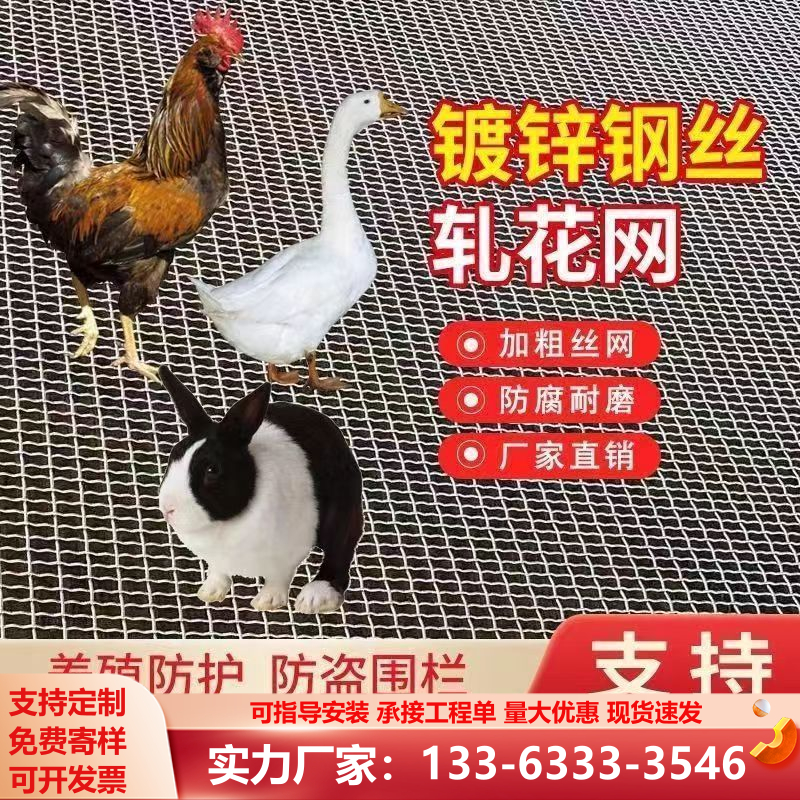 热镀锌轧花网防锈加粗护栏防护网鸡鸭鹅养殖漏粪网羊床围栏钢丝网