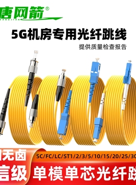 大唐网箭 单模单芯FC-SC-LC-ST光纤跳线SC转光纤线圆口转方头尾纤线1/2/3/5/10米跳纤光钎电信级延长线大方圆