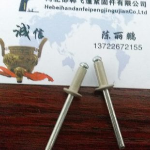 定做彩色拉柳钉抽芯铆钉装 散装 横钉烤漆氧化拉铆钉抽芯铆钉铝铆钉
