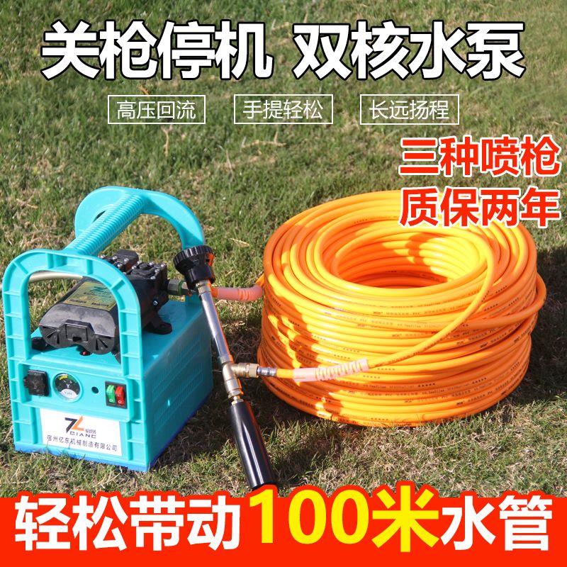 电动喷雾器手提式农用充电打药机多功能高压隔膜洗车抽水泵弥雾机