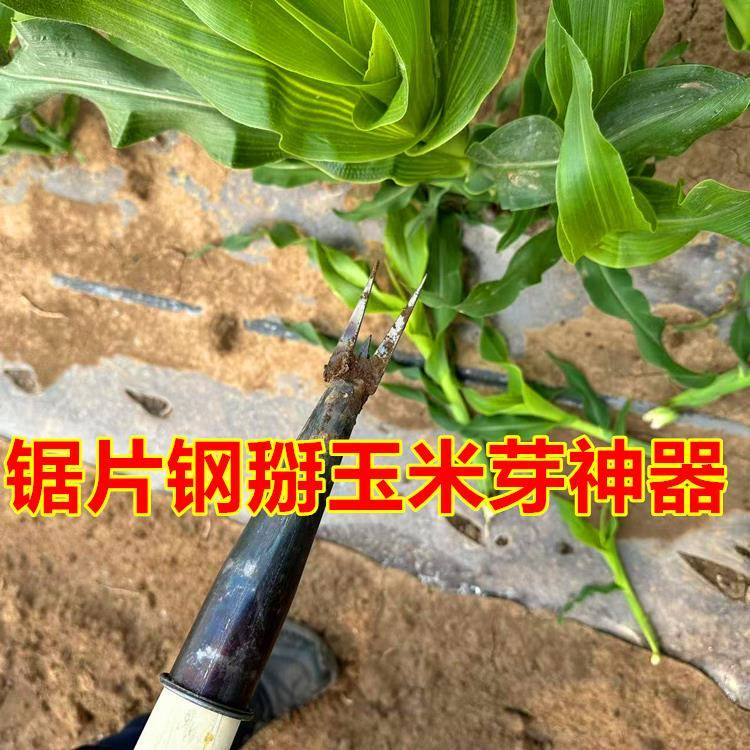 掰玉米丫子神器免弯腰农用玉米苗打叉专用工具去除苞米芽子根叉锄