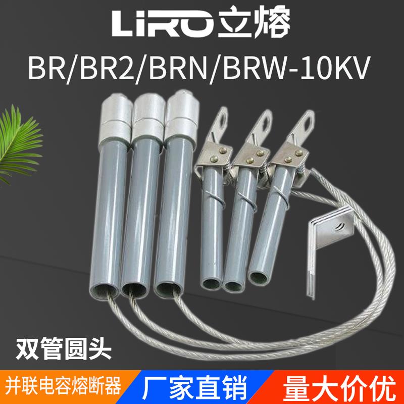高压并联熔断器电容保护器BR2-BRW-BRN-10A12KV/30A40A60A100A150