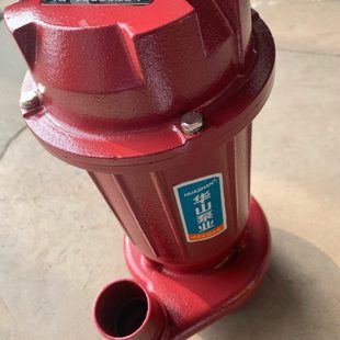 中国华山污水泵750W家用化粪池污水泵排污泵清水泵灌溉泵220V水泵
