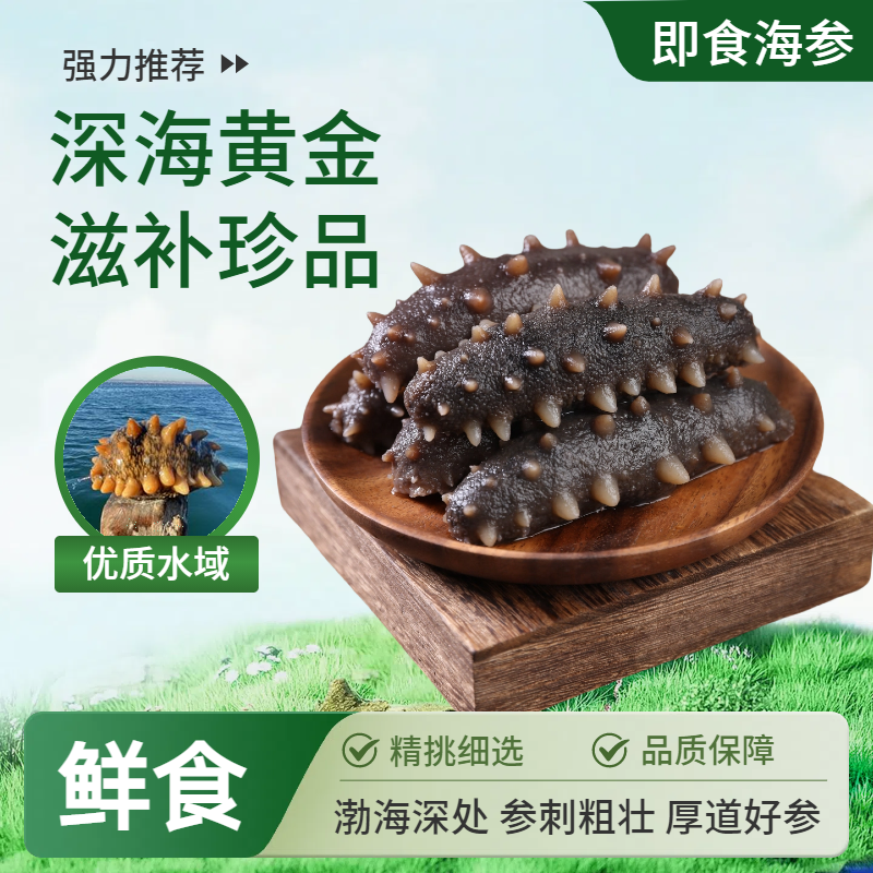 山东烟台即食海参深海底播滋补冷冻开袋即食非淡干大连辽参刺参