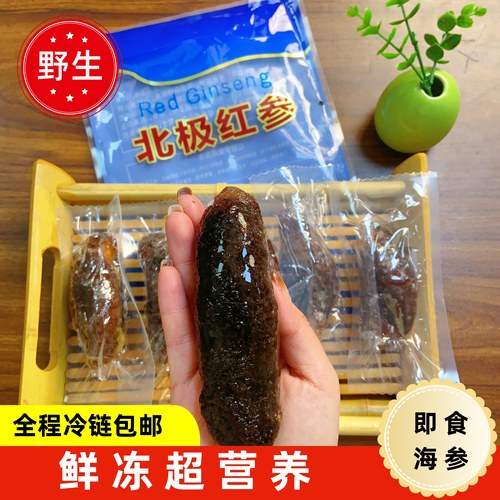 野生北极红参即食海参