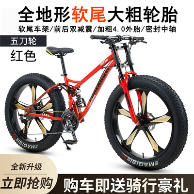 越野山地碟刹减震软尾沙滩雪地车