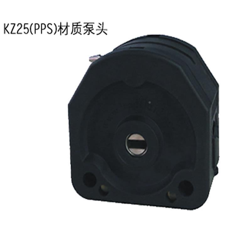 WT600S大大扭矩调5速型蠕动泵KZ2 泵头6000ml流量双通道CDC蠕动泵