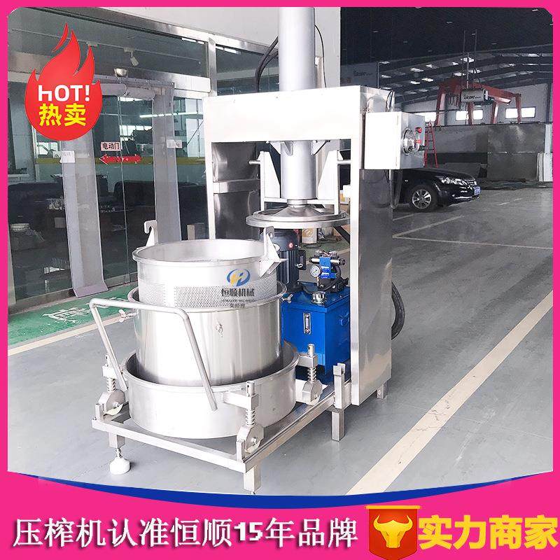 过油浸大榨蒜蒜油提取滤机 黑咖啡渣酒挤压提纯榨汁机HS-300L 番