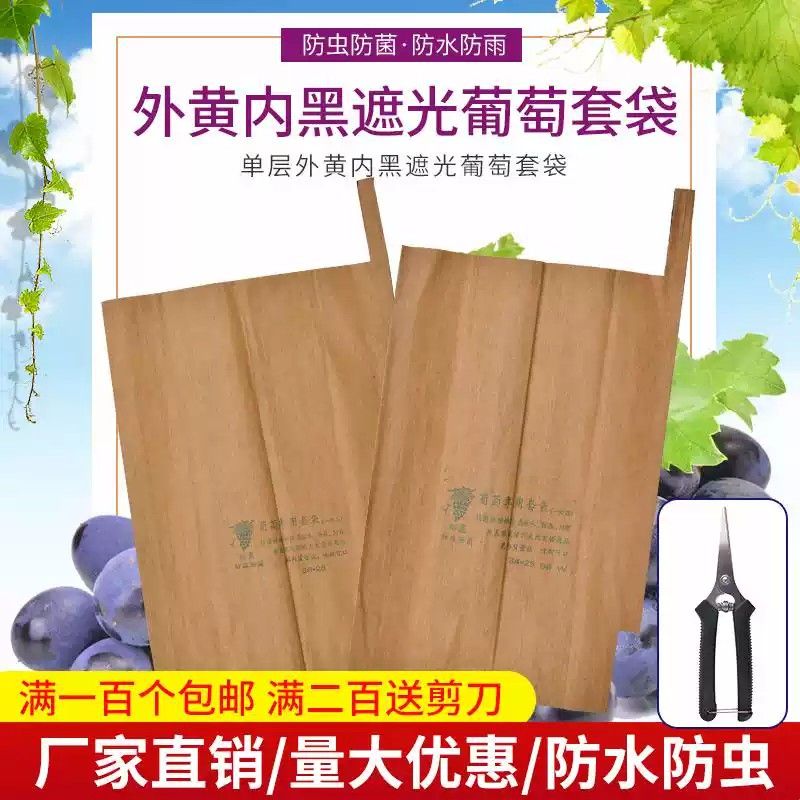 巨峰葡萄专用外黄内黑葡萄套袋葡萄遮光袋葡萄纸袋黄色葡萄袋包邮