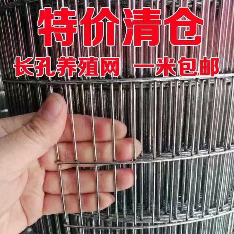304不锈钢钢丝网片镀锌铁丝围栏长孔鸽子笼铁网鸡笼网养殖加密网