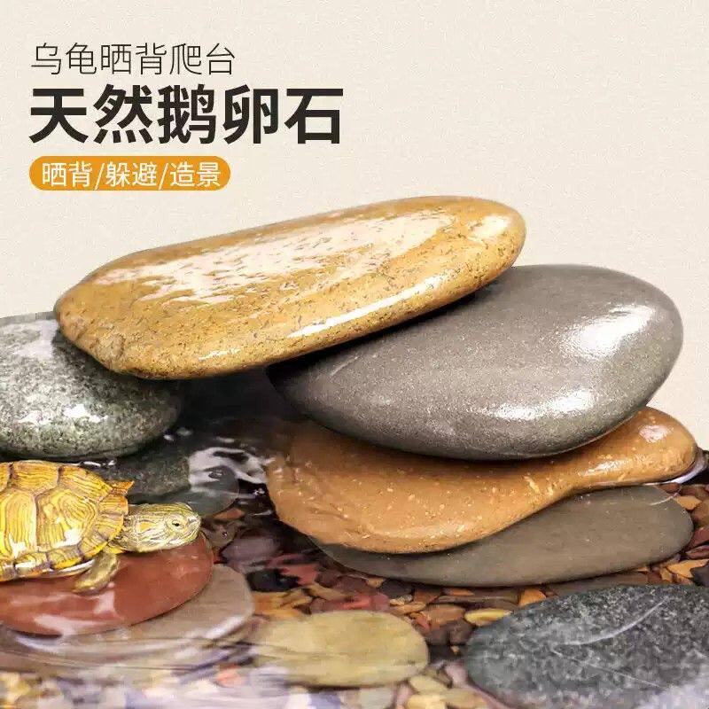 乌龟晒台天然原生鱼缸彩石造景鹅卵石乌龟缸扁平晒背爬台石头躲避