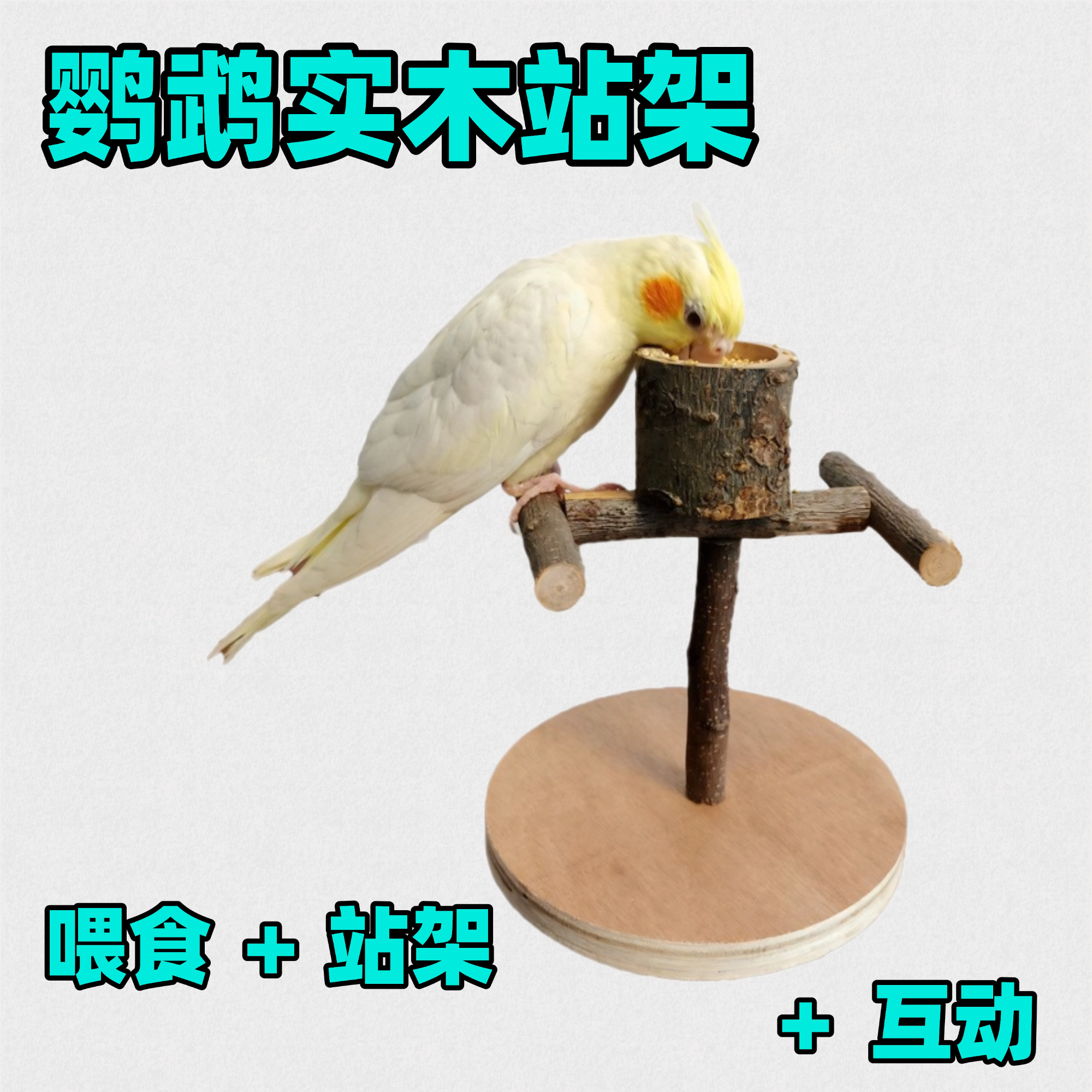 鹦鹉站台站架鹦鹉玩具