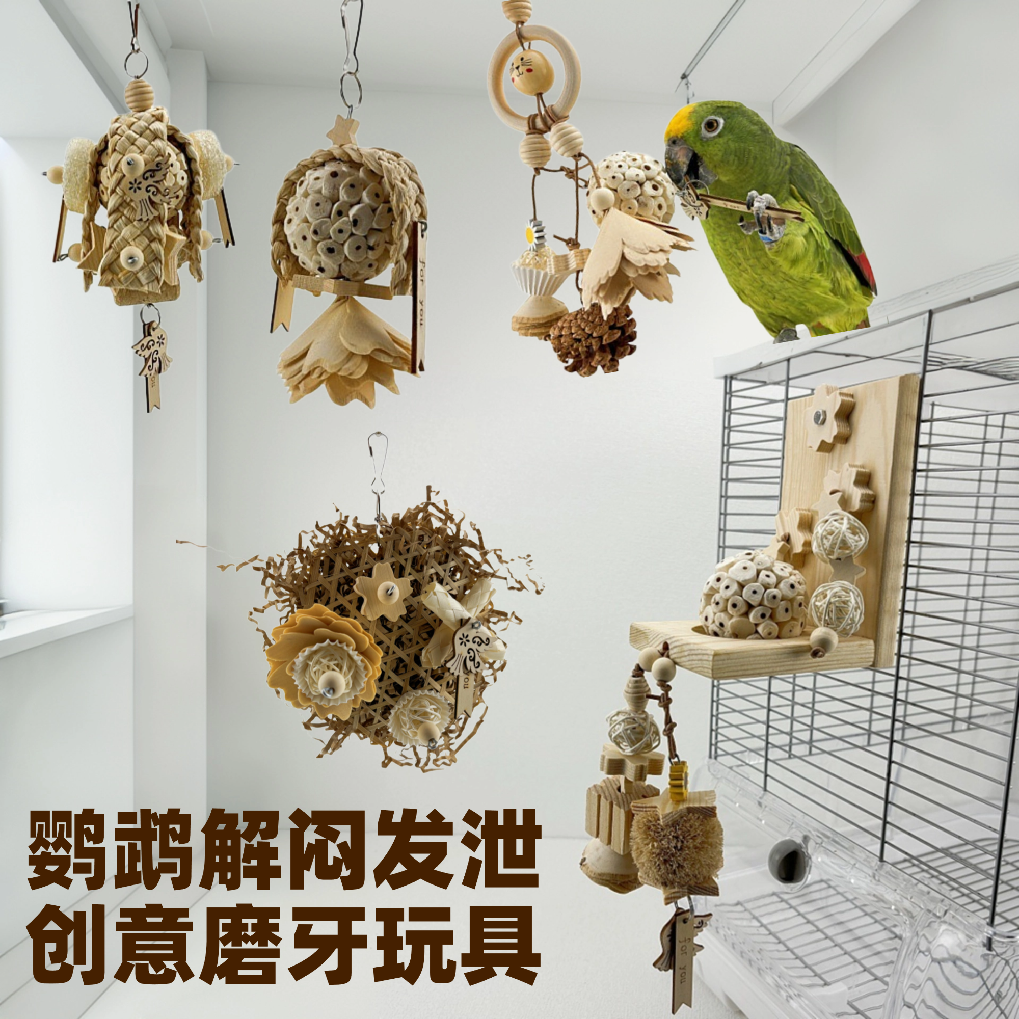 鹦鹉啃咬磨牙玩具安全健康