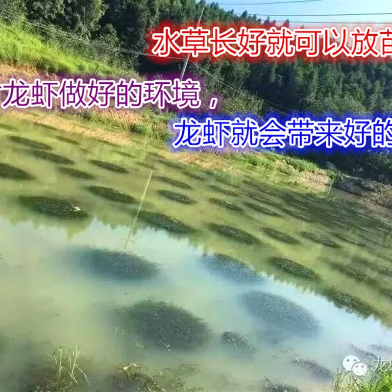 大闸蟹养殖黑色防逃膜小龙虾防逃网螃蟹苗甲鱼水产品池塘塑料围板