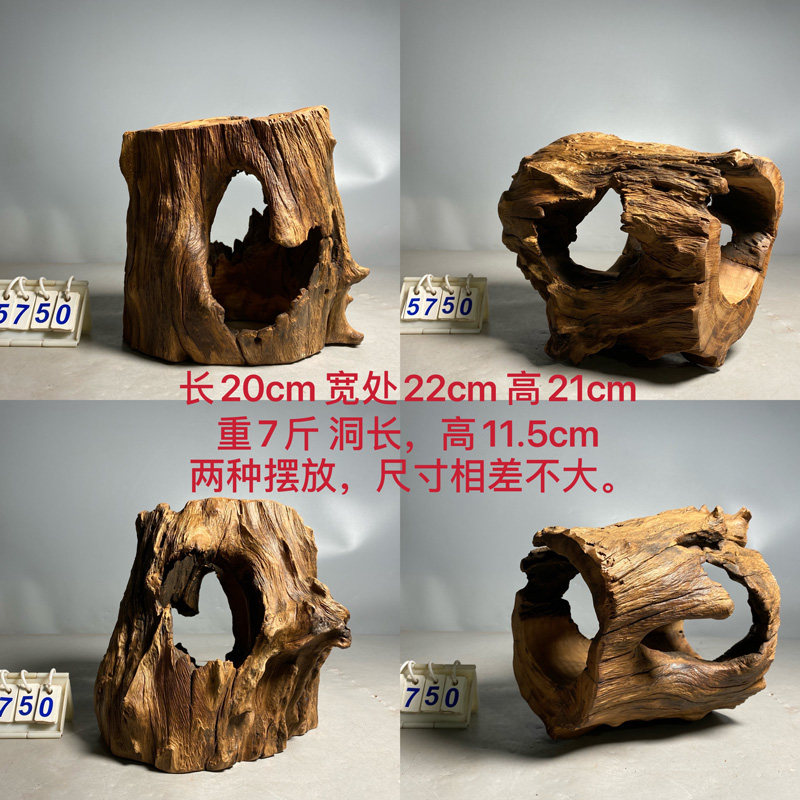 紫柚木树洞沉木龟晒台鱼缸造景树桩免煮木墩天然摆件繁殖躲避木头