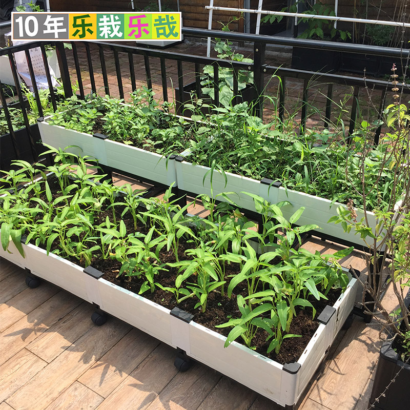 架高种菜专用箱加高种菜盆适用于阳台楼顶自行安装蔬菜种植箱深塑