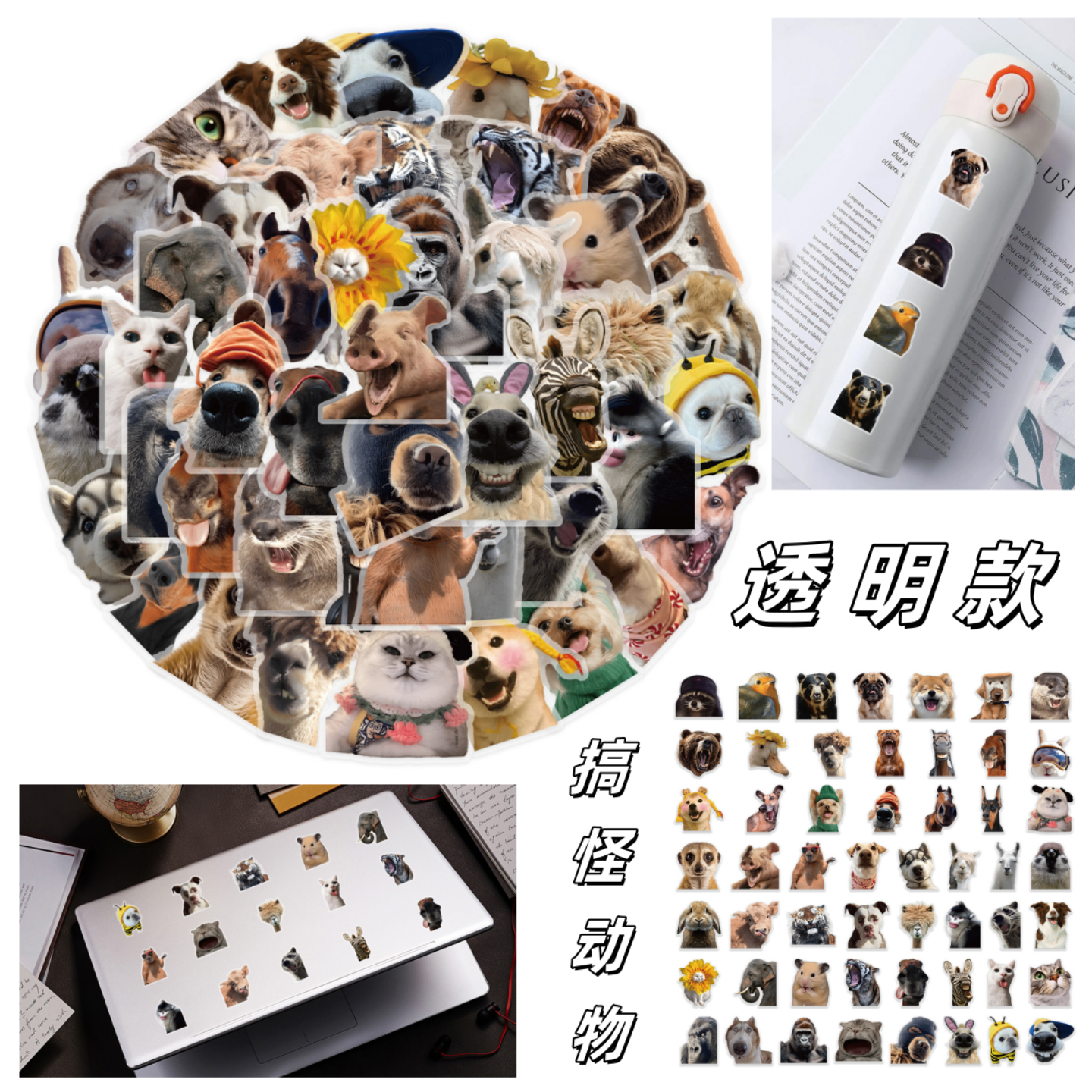 50张透明款PET搞怪动物可爱贴纸