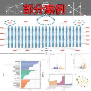 生信分析网络药理学孟德尔随机化MR实验外包火山图绘制