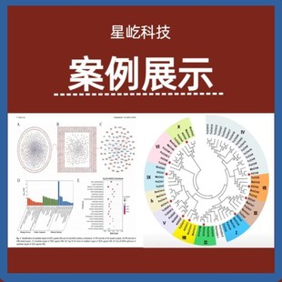 生信分析网络药理学孟德尔随机化MR实验外包标书单细胞转录组科研