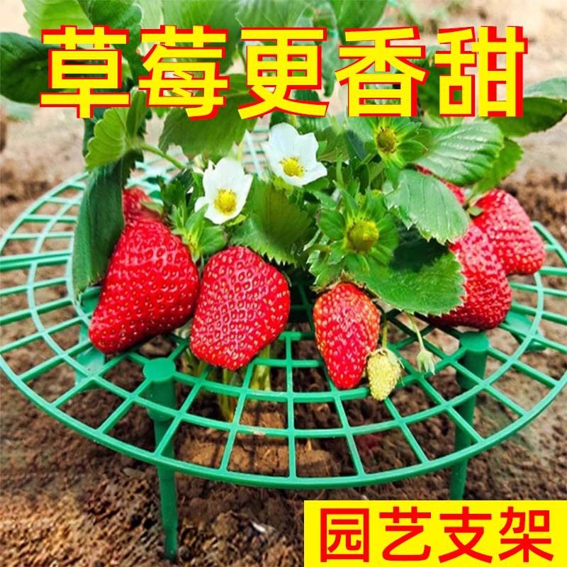 草莓托盘种植架植物果实支撑垫立体栽培架防烂果防倒伏透气垫高架,鲜花速递/花卉仿真/绿植园艺,花盆,淘宝优惠券,粉丝福利购,淘宝优惠卷