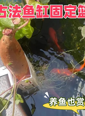 古法鱼缸固定篮壁挂式水培红薯篮水培定植篮兰花造景装饰配件通用