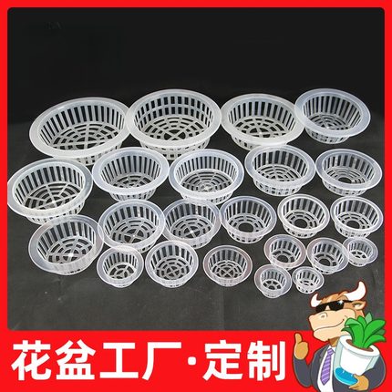 无土栽培水培加深定植篮鱼缸花盆固定篮玻璃花瓶固定架器绿萝固根
