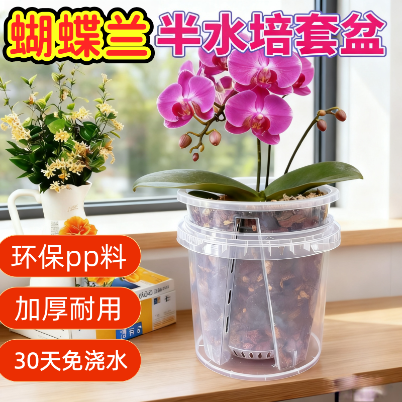 免浇水蝴蝶兰专用花盆套装懒人盆