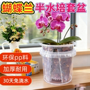 蝴蝶兰专用花盆套装 懒人盆加桶专用储水培带植料养免施肥自动浇水
