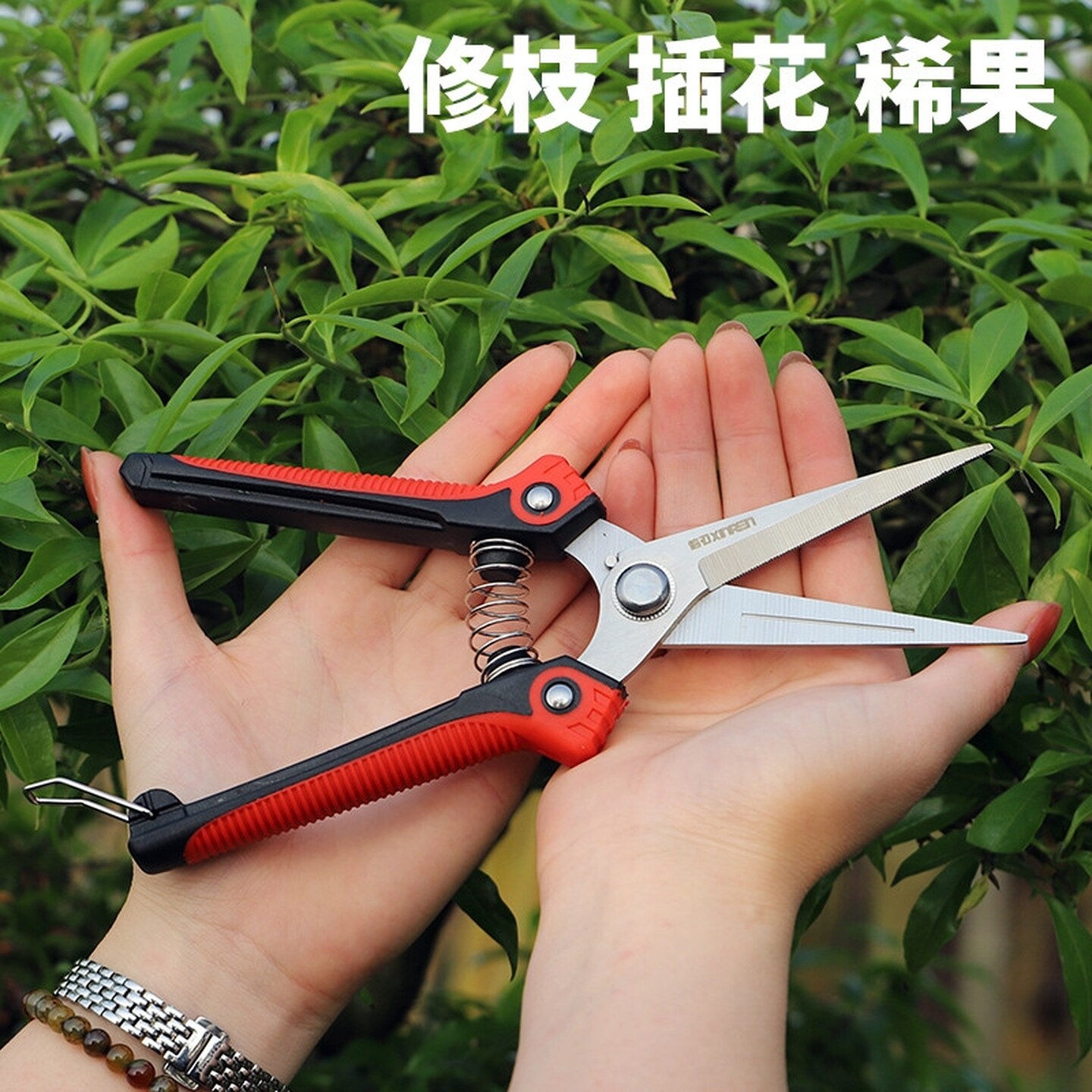 摘果剪花园果树专用园林修花剪修枝剪蔬果稀果剪子锋利剪刀农用剪