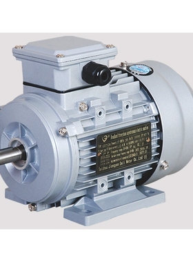 泰州德力电机DELI马达YS7124 YEJ7124 YS6324 DELI牌 GS6324 卧式