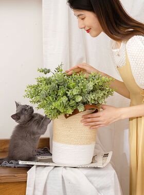 厂家销售 金钱叶植毛尤加利配草仿真花 假花婚庆装饰GF16296A