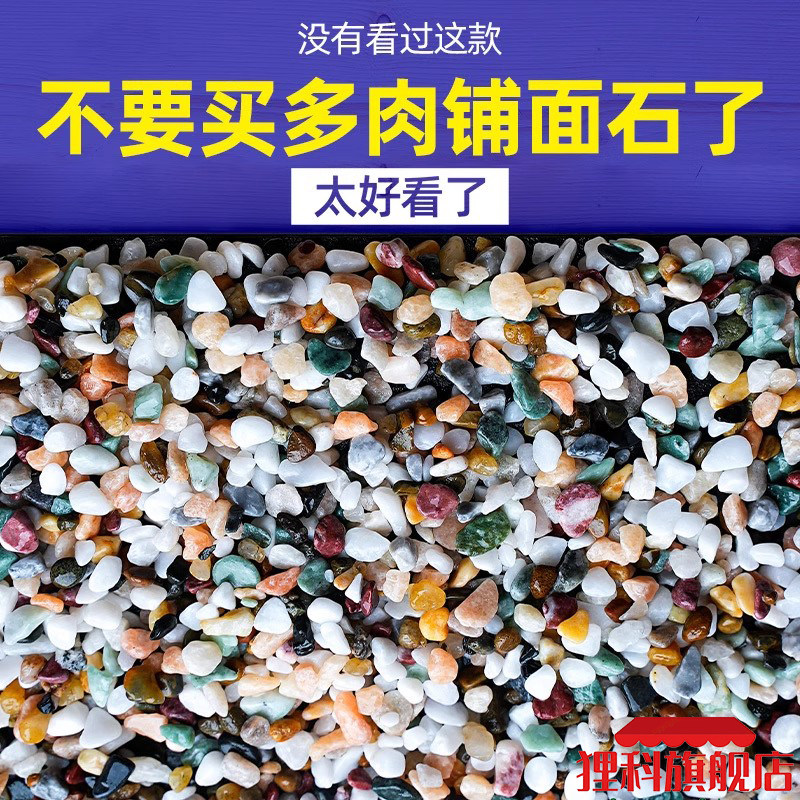 多肉铺面石植物花盆里面放的小彩色石头白石子地面养花专用五彩石