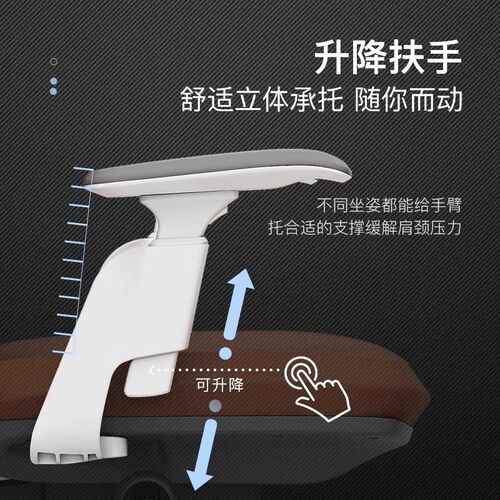 电脑椅家用写字办公椅人体工学座椅 舒服久坐靠背椅子转椅