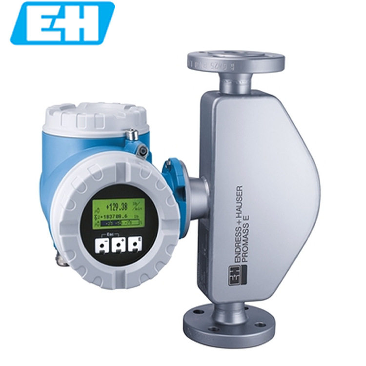 德国E+H 恩德斯豪斯843E系列 质量流量计原装正品