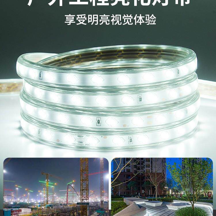 工程灯带?led灯带24v36v220v卷防10米室室外水工程工地下隧0道养