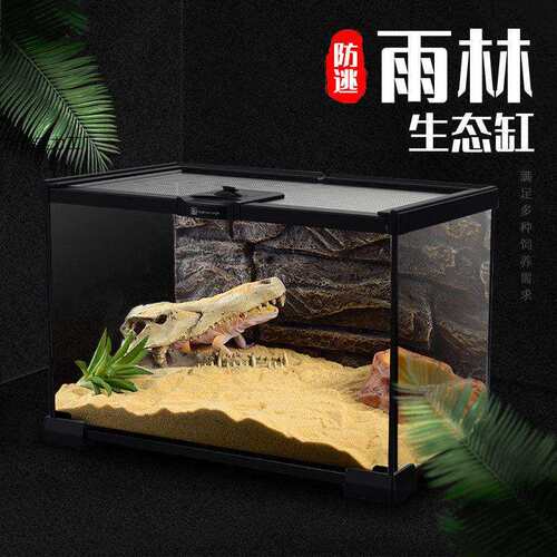 雨林缸玻爬宠饲养箱蜥宫爬箱生态缸365角蜴蛙蜘蛛爬缸守饲璃养箱