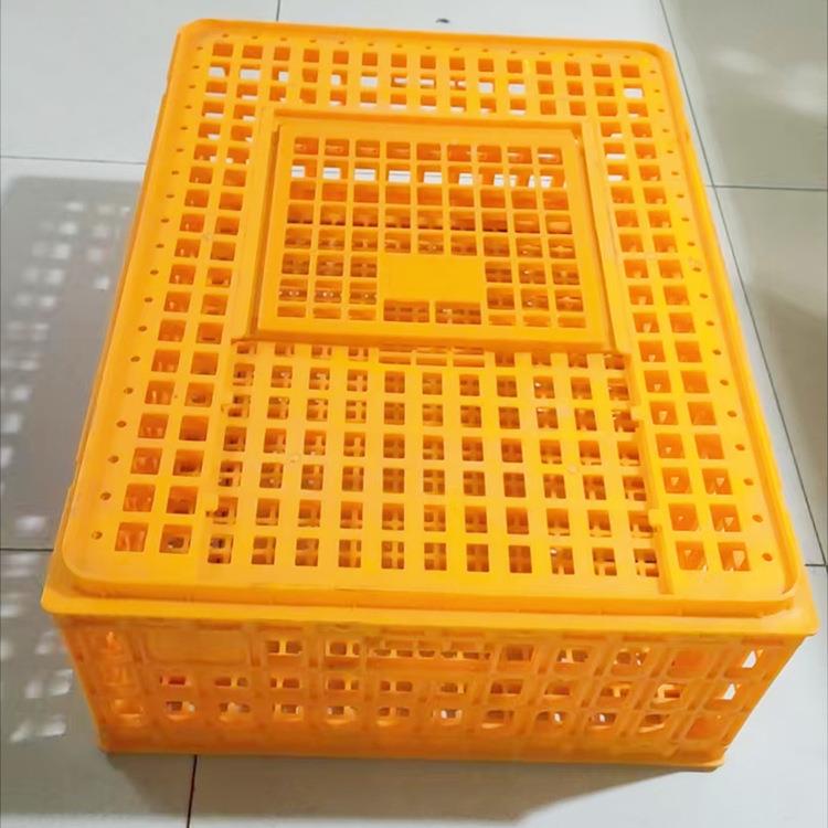 鸡苗塑料周转箱家禽兔笼鸽子鸭塑鹅JPM输箱长方形加运厚料运输鸡