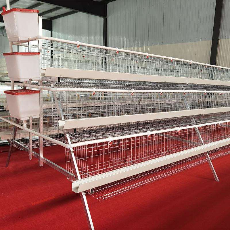 阶UIK蛋梯鸡笼殖养专用笼鸡笼子阶梯式蛋鸡笼养鸡设备养殖鸡场笼
