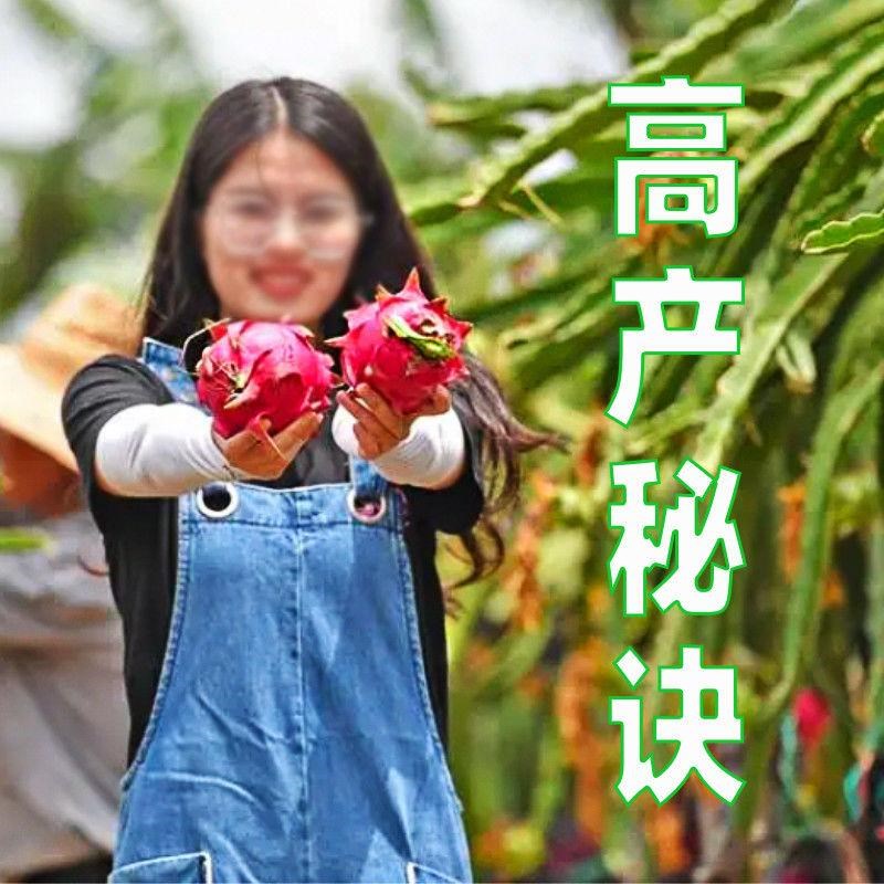 火龙果专用补光灯串线反季催熟画促植物生长补光灯蔬菜大棚百香果