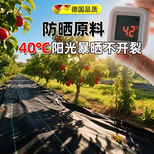 防草布果树专用新型窄丝加密PE除草布耐用果园盖草地膜农用遮草布